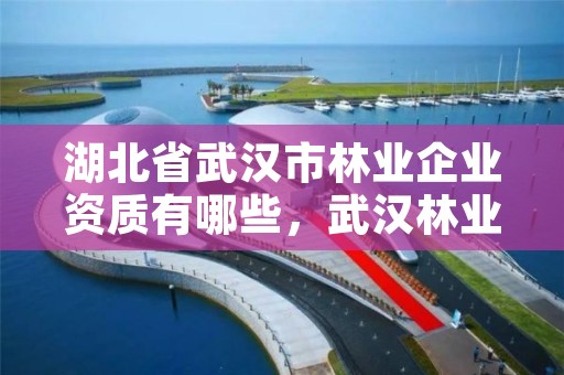湖北省武汉市林业企业资质有哪些,武汉林业公司有哪些
