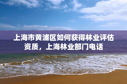 上海市黄浦区如何获得林业评估资质,上海林业部门电话