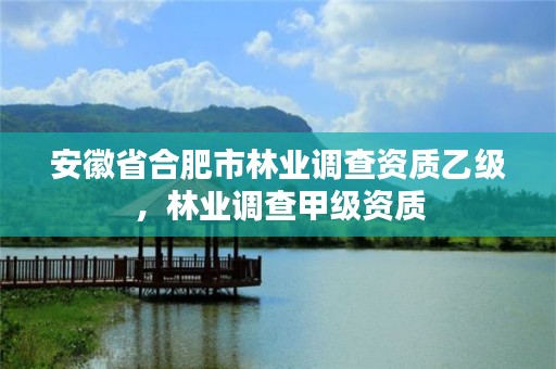 安徽省合肥市林业调查资质乙级,林业调查甲级资质