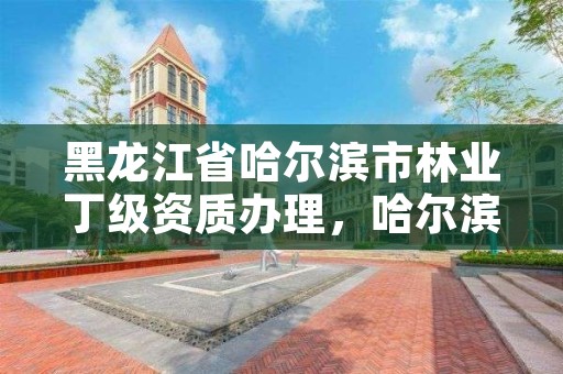 黑龙江省哈尔滨市林业丁级资质办理,哈尔滨林业厅官网