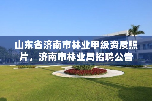 山东省济南市林业甲级资质照片，济南市林业局招聘公告