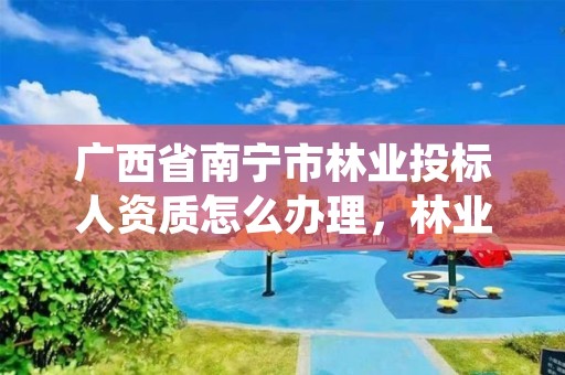 广西省南宁市林业投标人资质怎么办理，林业招投标标书模板
