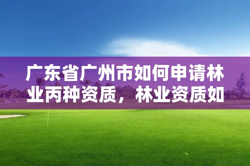 广东省广州市如何申请林业丙种资质,林业资质如何申请办理
