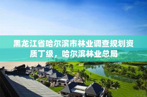 黑龙江省哈尔滨市林业调查规划资质丁级，哈尔滨林业总局