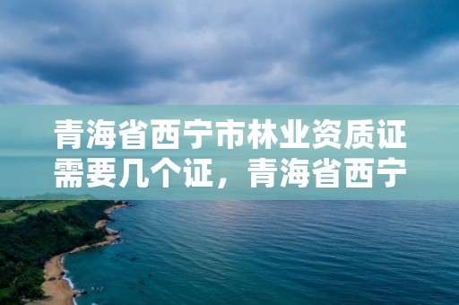 青海省西宁市林业资质证需要几个证，青海省西宁市林业资质证需要几个证件