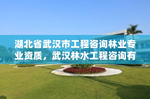 湖北省武汉市工程咨询林业专业资质,武汉林水工程咨询有限公司待遇