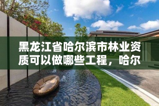 黑龙江省哈尔滨市林业资质可以做哪些工程,哈尔滨林业公司