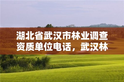 湖北省武汉市林业调查资质单位电话，武汉林业厅