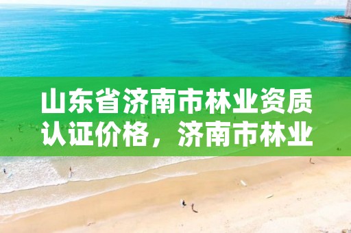 山东省济南市林业资质认证价格，济南市林业局招聘公告