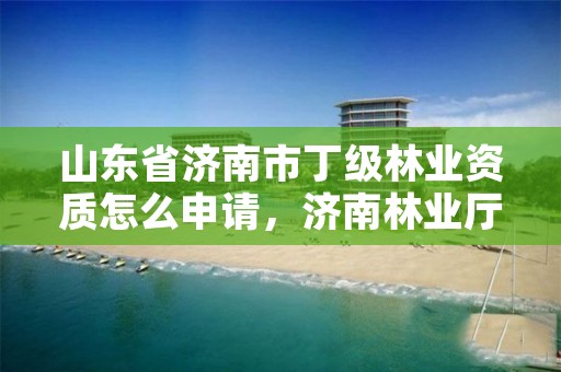 山东省济南市丁级林业资质怎么申请，济南林业厅