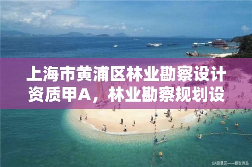 上海市黄浦区林业勘察设计资质甲A,林业勘察规划设计院