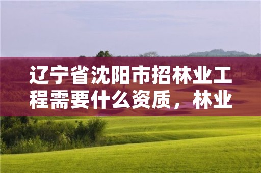 辽宁省沈阳市招林业工程需要什么资质,林业系统招聘都考什么内容