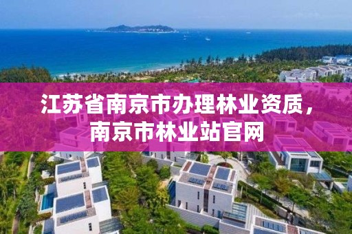 江苏省南京市办理林业资质，南京市林业站官网