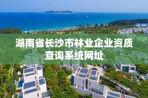 湖南省长沙市林业企业资质查询系统网址