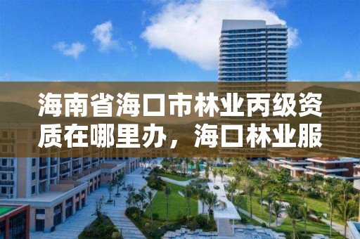 海南省海口市林业丙级资质在哪里办，海口林业服务中心