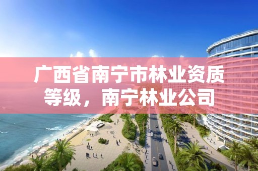 广西省南宁市林业资质等级,南宁林业公司