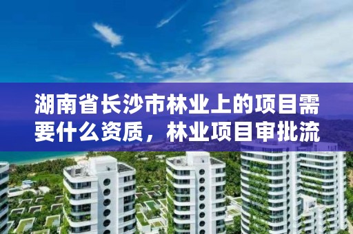 湖南省长沙市林业上的项目需要什么资质，林业项目审批流程