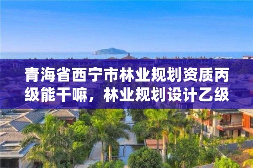 青海省西宁市林业规划资质丙级能干嘛，林业规划设计乙级资质