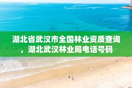 湖北省武汉市全国林业资质查询,湖北武汉林业局电话号码