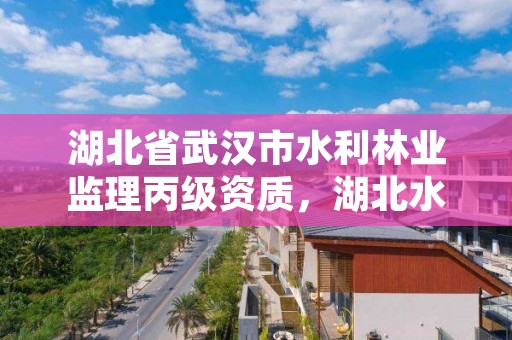 湖北省武汉市水利林业监理丙级资质,湖北水利监理工程师招聘