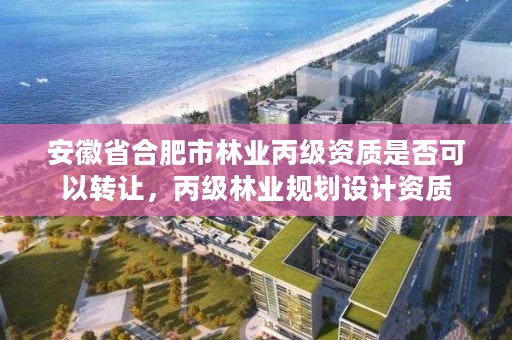 安徽省合肥市林业丙级资质是否可以转让，丙级林业规划设计资质