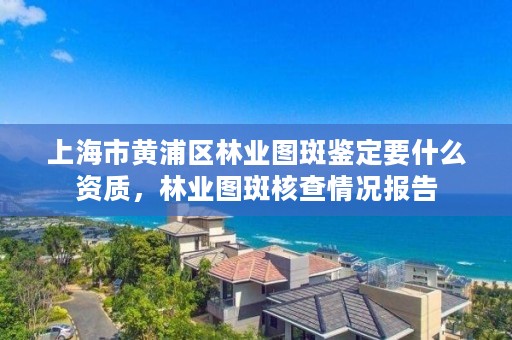 上海市黄浦区林业图斑鉴定要什么资质，林业图斑核查情况报告