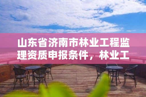 山东省济南市林业工程监理资质申报条件，林业工程监理实施细则