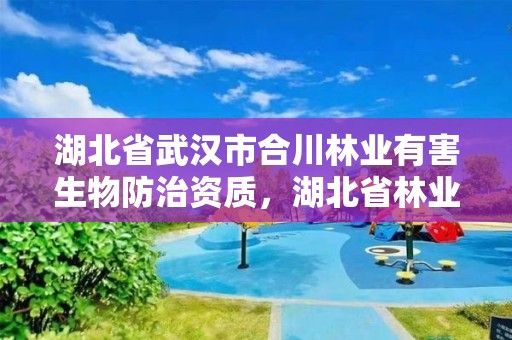 湖北省武汉市合川林业有害生物防治资质,湖北省林业有害生物防治信息网