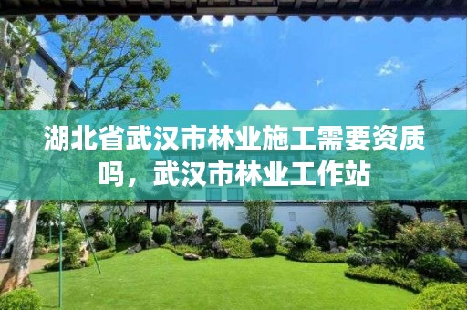 湖北省武汉市林业施工需要资质吗,武汉市林业工作站