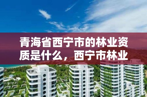 青海省西宁市的林业资质是什么,西宁市林业局在哪里