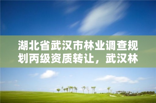 湖北省武汉市林业调查规划丙级资质转让,武汉林业厅