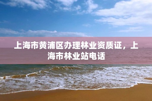 上海市黄浦区办理林业资质证，上海市林业站电话