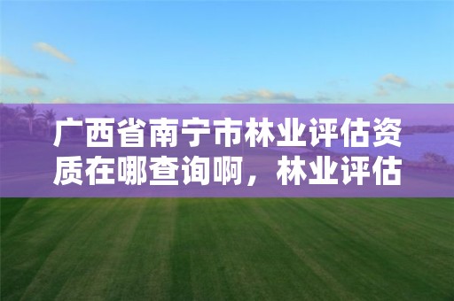 广西省南宁市林业评估资质在哪查询啊,林业评估公司资质