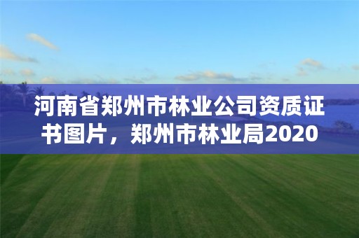 河南省郑州市林业公司资质证书图片,郑州市林业局2020年林业产业项目