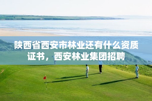 陕西省西安市林业还有什么资质证书，西安林业集团招聘