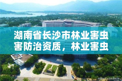 湖南省长沙市林业害虫害防治资质，林业害虫防治方案