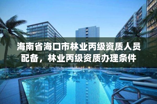海南省海口市林业丙级资质人员配备，林业丙级资质办理条件