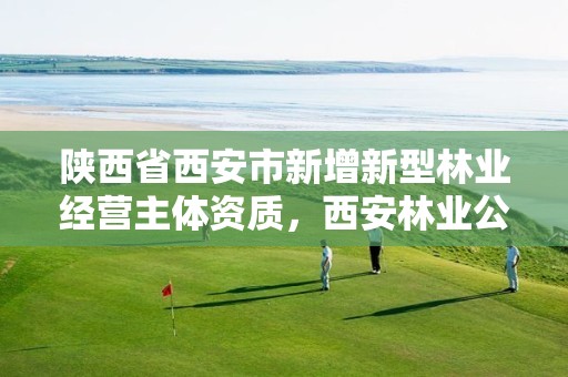 陕西省西安市新增新型林业经营主体资质，西安林业公司