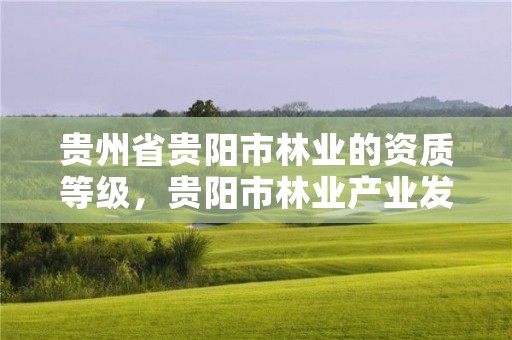 贵州省贵阳市林业的资质等级,贵阳市林业产业发展有限公司