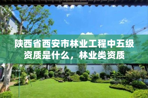 陕西省西安市林业工程中五级资质是什么，林业类资质
