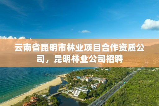 云南省昆明市林业项目合作资质公司，昆明林业公司招聘