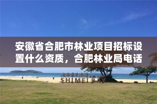 安徽省合肥市林业项目招标设置什么资质，合肥林业局电话号码