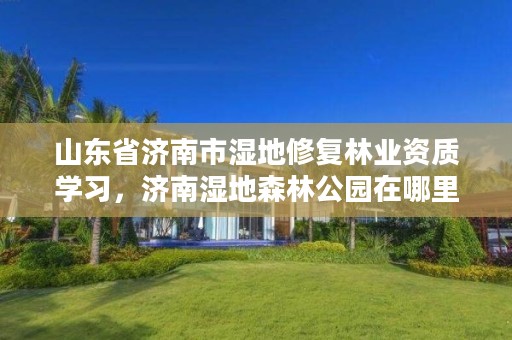 山东省济南市湿地修复林业资质学习，济南湿地森林公园在哪里