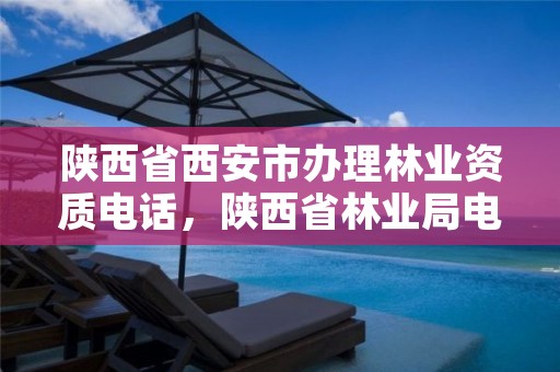 陕西省西安市办理林业资质电话，陕西省林业局电话多少