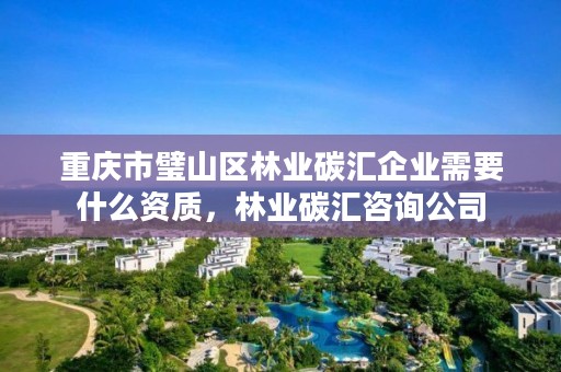 重庆市璧山区林业碳汇企业需要什么资质,林业碳汇咨询公司