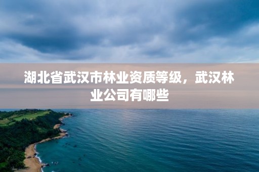 湖北省武汉市林业资质等级,武汉林业公司有哪些