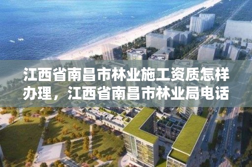 江西省南昌市林业施工资质怎样办理,江西省南昌市林业局电话