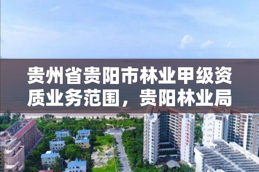 贵州省贵阳市林业甲级资质业务范围,贵阳林业局招聘2021