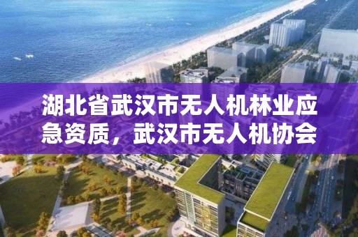 湖北省武汉市无人机林业应急资质,武汉市无人机协会