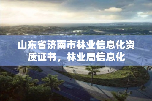 山东省济南市林业信息化资质证书，林业局信息化